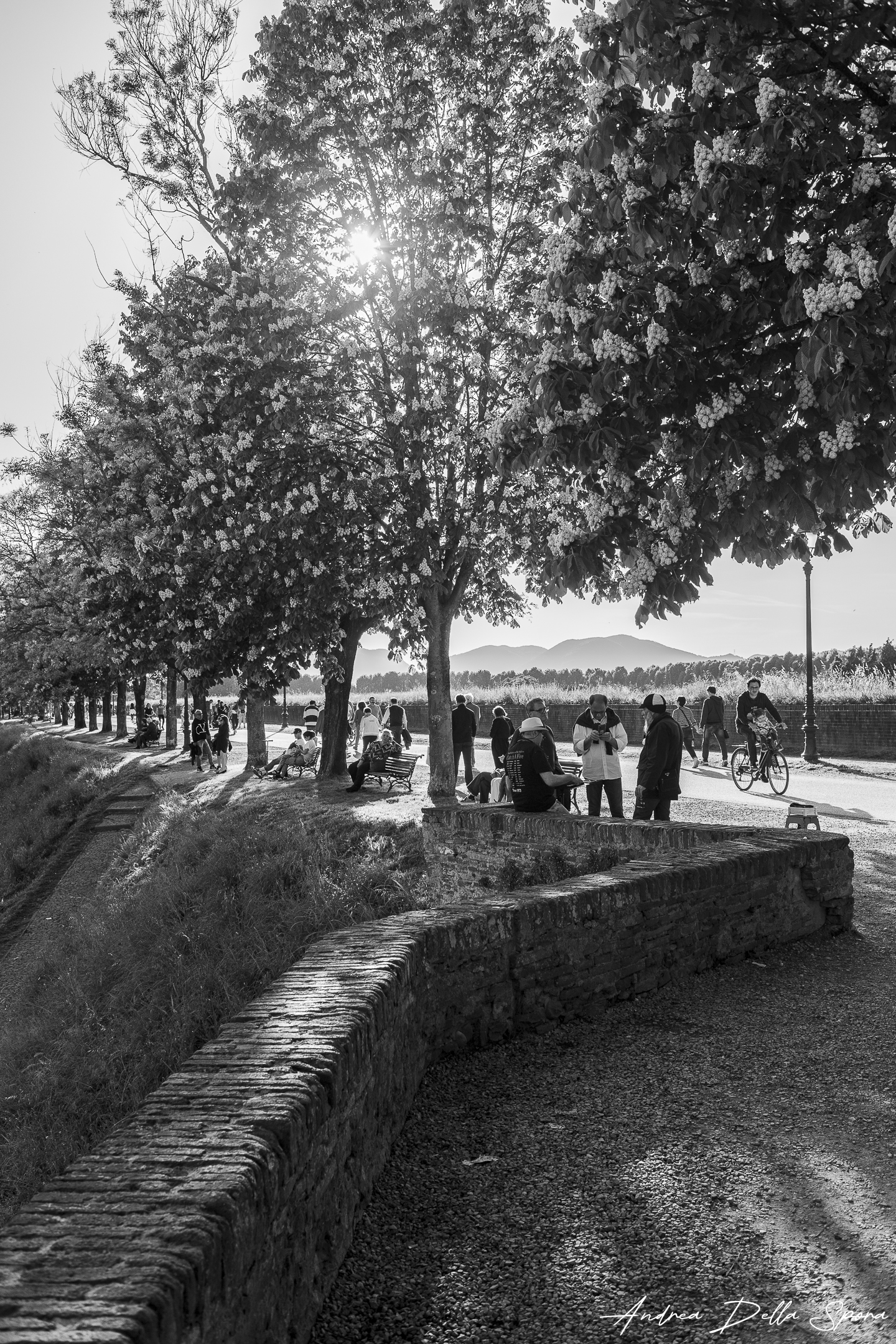 Mura di Lucca – Attimi